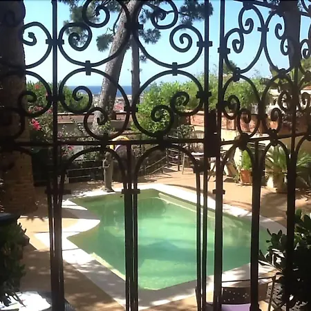 Отель Petit Palais 4*